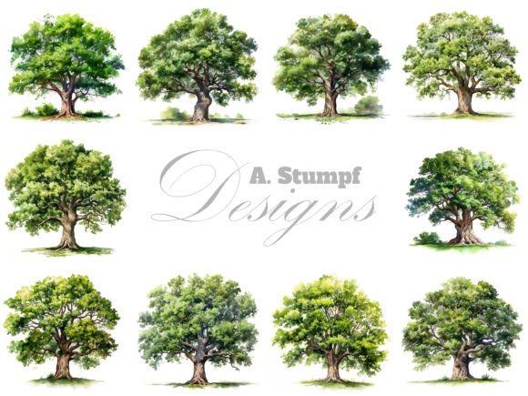 Download Oak Tree Watercolor Clipart Set - Clipart set Collection